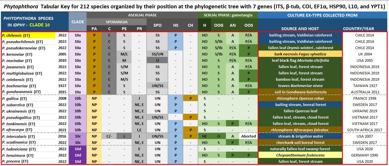    Phytophthora  spp. in subclade 10a:  Morphological Tabular key (PDF) and Tabular key legends (PDF) in IDphy2 KEY SECTION. Notice the data of   P. chilensis  Ex-type CBS 148797 . Gloria Abad, USDA Samp;T.
